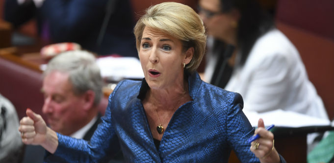 Small business survives Morrison's cabinet reshuffle and Michaelia Cash emerges with additional sway - SmartCompany