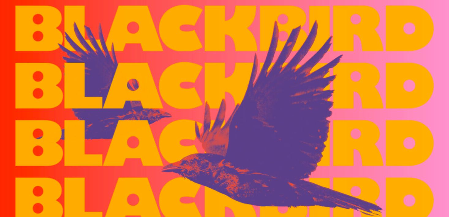 Blackbird says it’s hard to find women founders to back, as it misses own gender investment target