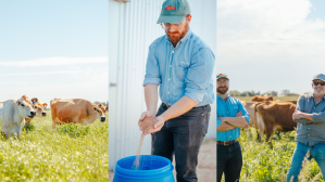 Gelato Messina, Number 8 Bio team up to create greener sweet treats