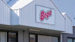 Regional Victorian town braces for 300 job cuts after Bega’s factory closure