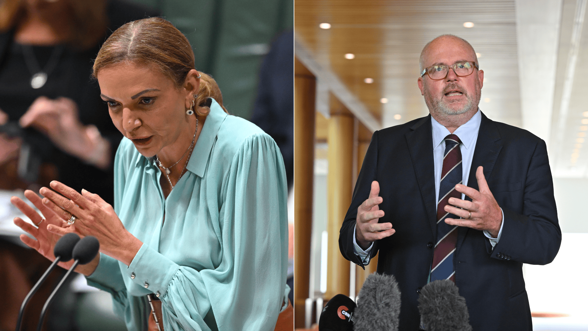 Anne Aly, Tim Ayres take over small business and industry portfolios in Albanese’s new cabinet