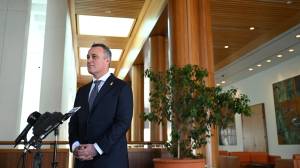 "Polishing a turd": Startup tax carve-outs won't stop Australia's talent drain