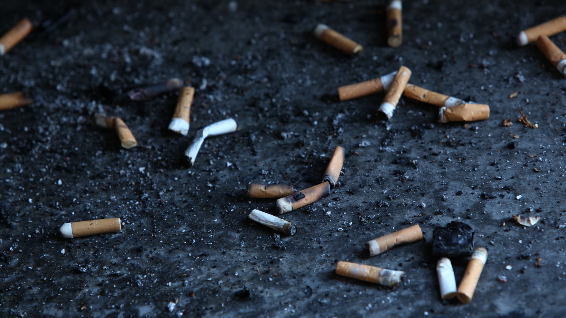 IGA supplier Metcash sees tobacco sales plunge by 35% as illicit market deepens