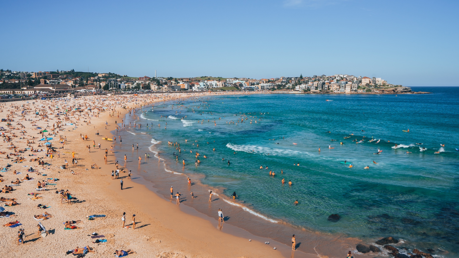 A Bondi local shares how you can turn grief into action