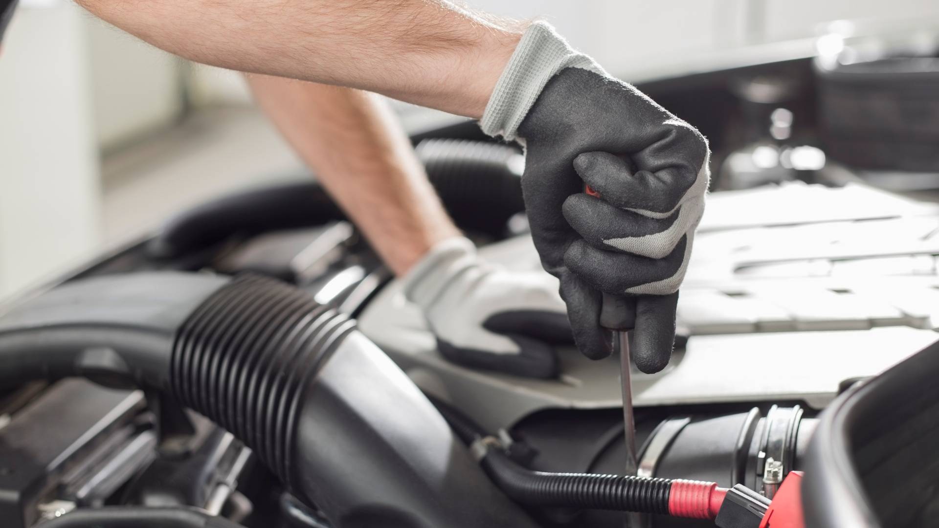 “Devastating”: Government slashes apprentice support payments by half for mechanics, chefs and more