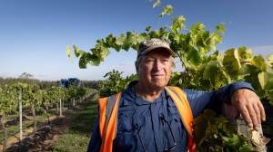 NSW “land tax grab” leaves small vineyard with five-year bill