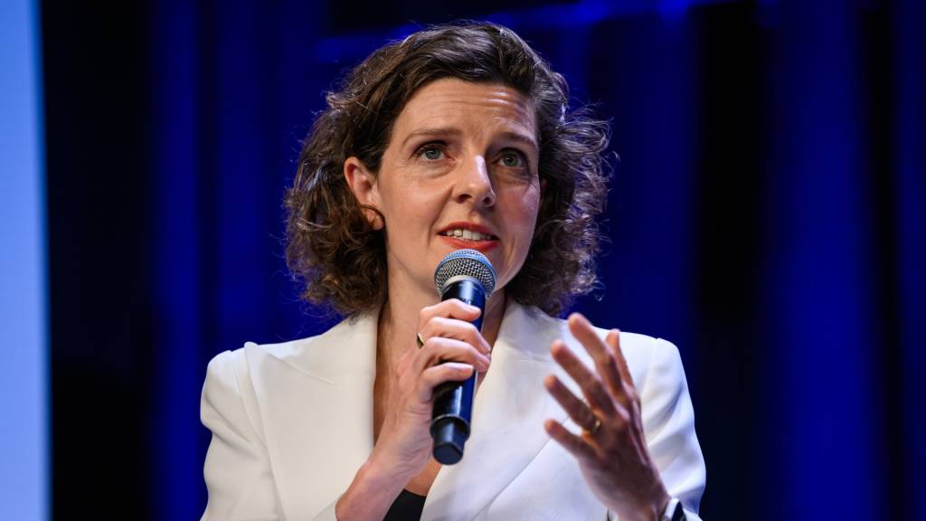 Small business investment, trust structures singled out in Spender tax proposal