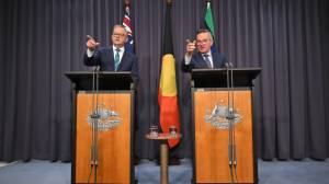 Fuel excise cut by 50% as cabinet unveils $2.55 billion crisis plan