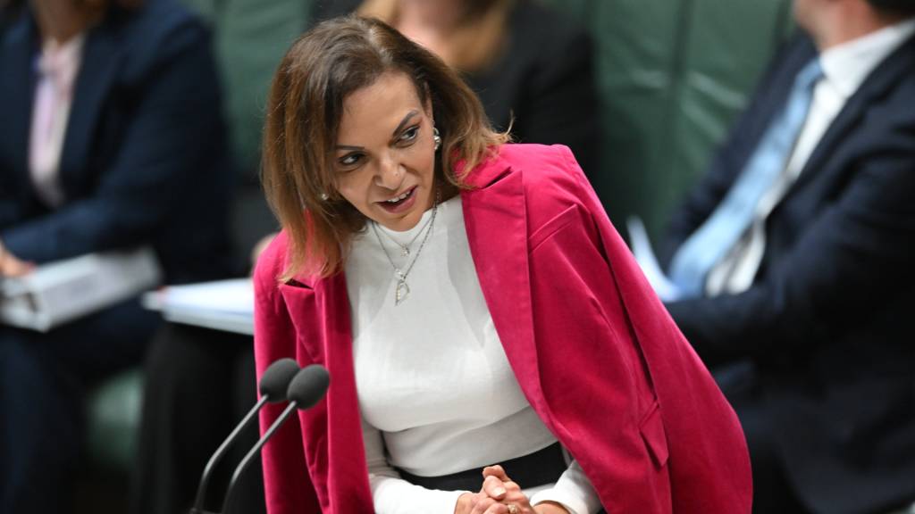 “More evidence is needed”: Aly rebuffs call for government-backed SME loans