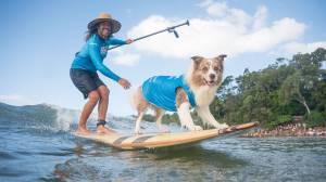 “We're selling on the internet, but it's still personal”: How VetShopAustralia continues to ride the e-commerce wave