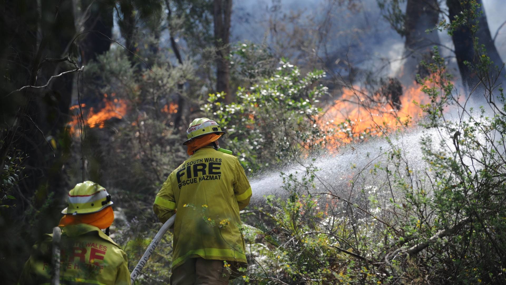 AI cameras helped put out more than 1,100 bushfires over summer