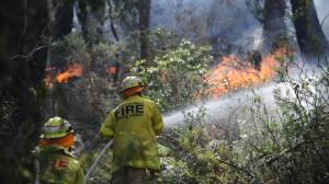 AI cameras helped put out more than 1,100 bushfires over summer