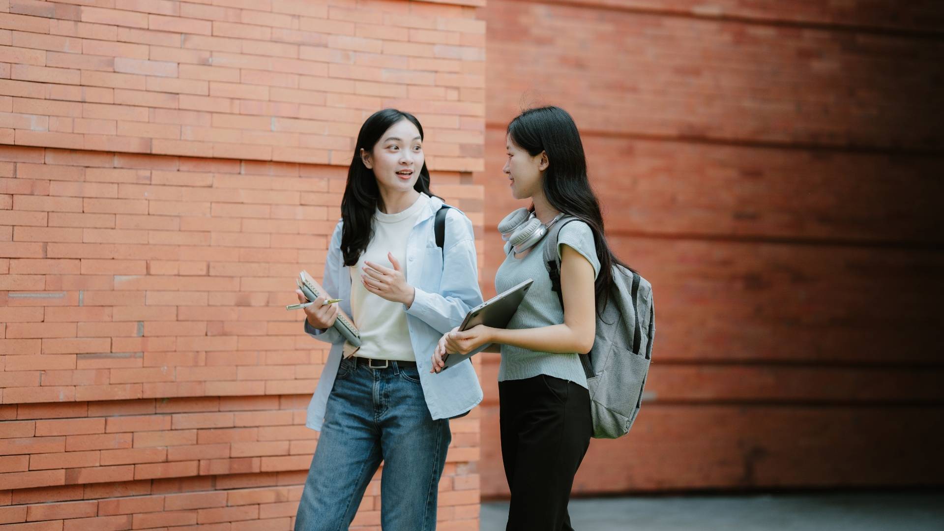 Labor axes $15 million Startup Year program after only eight students signed up