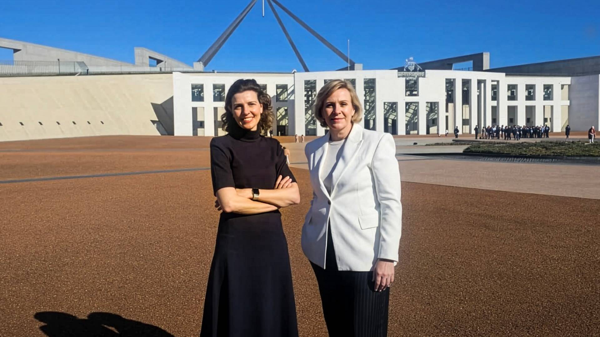 Teal MPs outspoken on small business issues form new political party