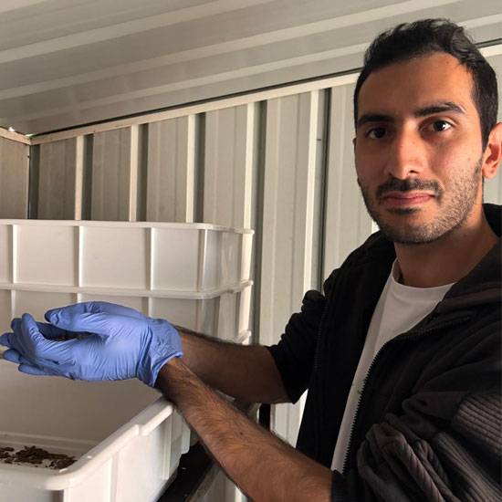 Green Knott founder Anthony Gabrielian handling black soldier fly larvae in a food waste recycling facility, where insects are used to convert organic waste into sustainable protein.