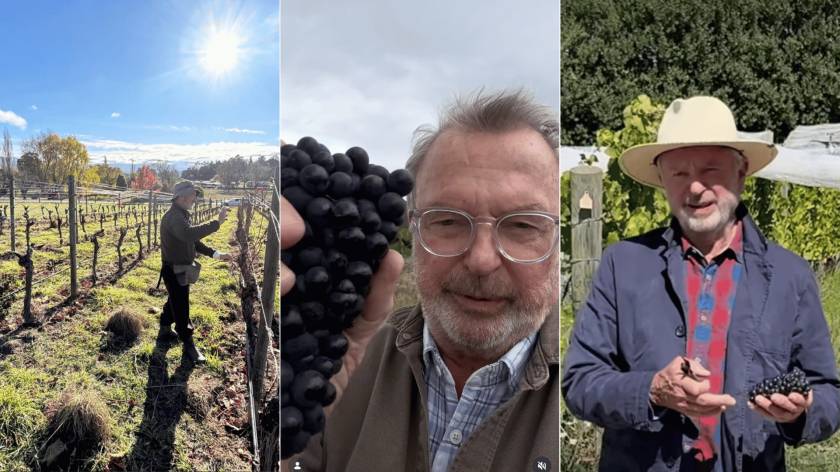 sam neill two paddocks