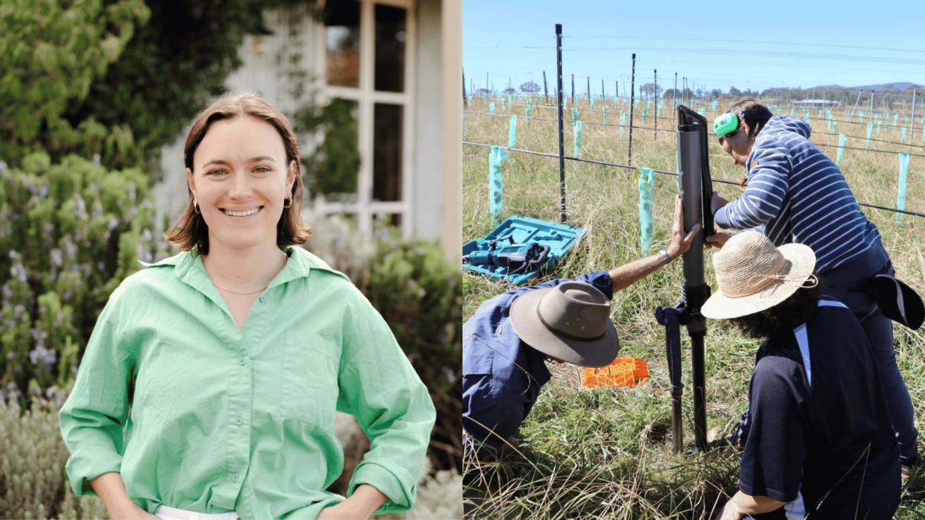 Sheep, solar and wine: The unlikely formula helping this winery boost profits
